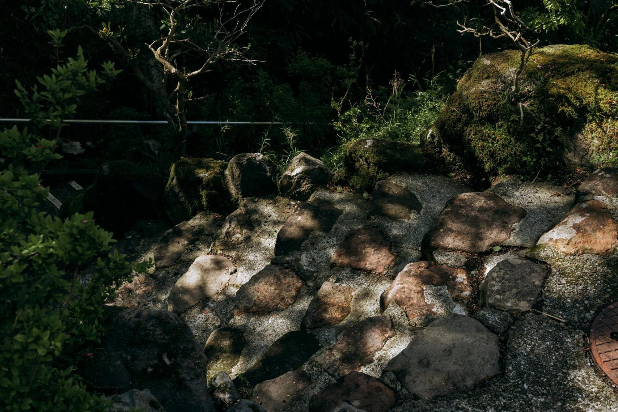 Vila Aknot Hakone 大涌谷を望むモダニズム建築 東京から90分 Exteriér fotografie