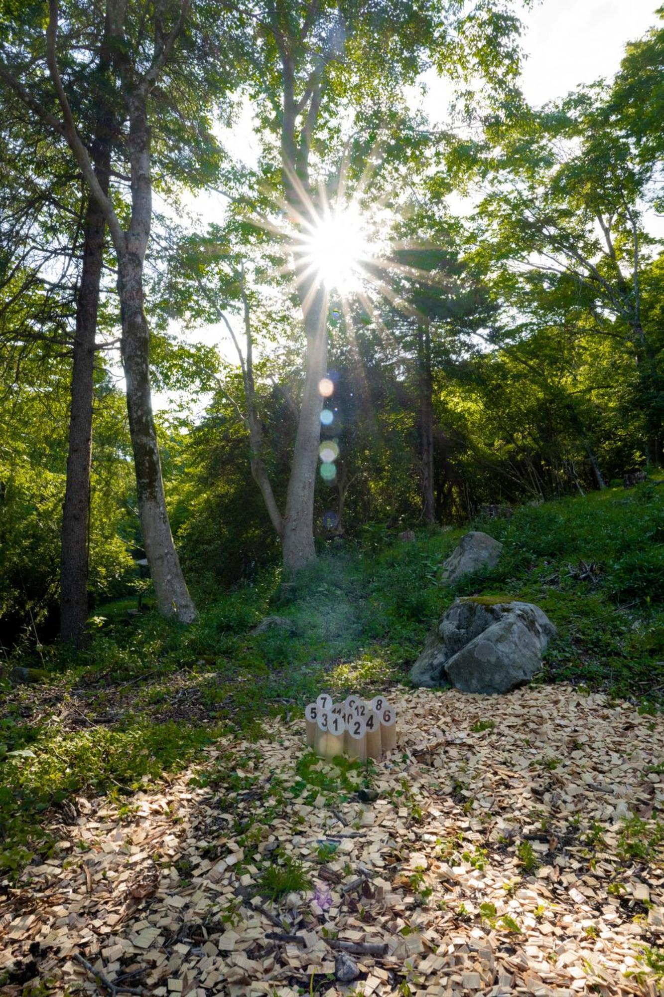 Vila Aknot Hakone 大涌谷を望むモダニズム建築 東京から90分 Exteriér fotografie